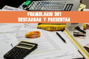 Formulario 381 descargar y completar