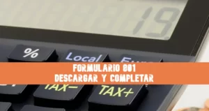 Formulario 801 completar y descargar