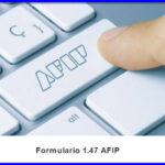 Formulario1.47 Afip Asignacion Universal